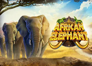 Pragmatic : African Elephant - SMARTGAMING138